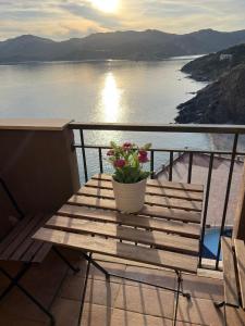 L'angolo di Filo img24