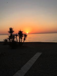 BUNGALOW PIE DE PLAYA B30