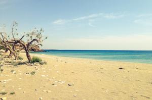 Cybele Apartments Lasithi Greece