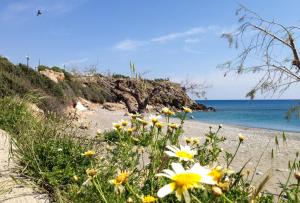 Cybele Apartments Lasithi Greece