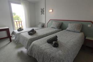 Appartements Baztan Piscine Vue Montagnes : photos des chambres