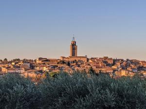 Maisons de vacances Charmant Gite Mazet Lo Garric : photos des chambres