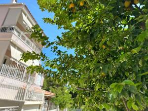 La Vita apartments-near airport & sea