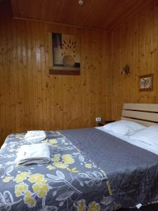 Twin Room room in Urochyshe Vyshnya
