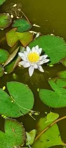 B&B Happiness in the Country - 卡萨尔马焦雷