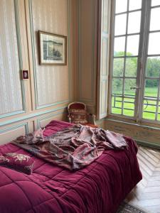 B&B / Chambres d'hotes Chateau de Freschines : photos des chambres