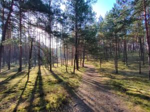 Zakątek Wdzydze nad samym jeziorem - pierwsza linia