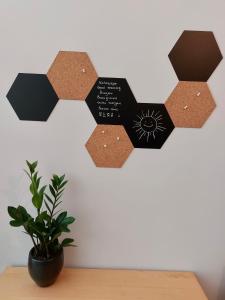 Christina-Anna Athens City Center walking distance to everywhere and Acropolis, in One of the most Favorable Locations by National Gardens and Zoo, Hellenic Parliament in Syntagma and Stylish Exquisite Kolonaki Cozy Renovated Apartment