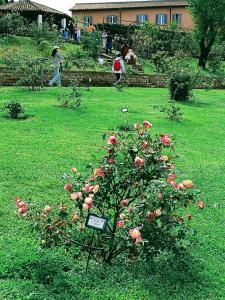 PORTA MAGGIORE 9 ROMA Locazione Turistica