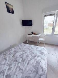 Appartements Ideal deplacement pro Roubaix 10 : photos des chambres