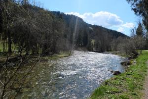 Appartements T3 rez-de-jardin avec fitness, sauna et tennis - village et ski a pied : photos des chambres