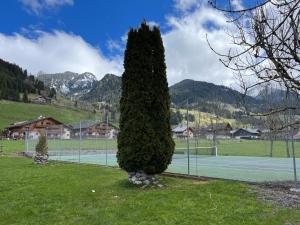 Appartements T3 rez-de-jardin avec fitness, sauna et tennis - village et ski a pied : photos des chambres