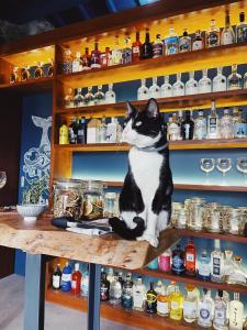 Solar Branco Eco Estate