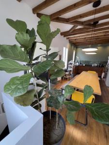 Villas Large Villa 8 pers. 1km from forest and beach : photos des chambres