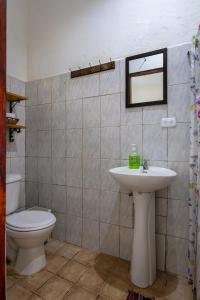 Pura Vida Mini Hostel Santa Teresa