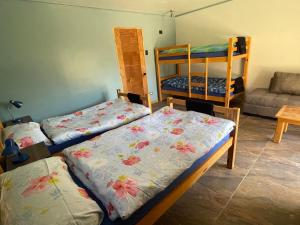 Cabalgatas y Alojamiento LocuraChile