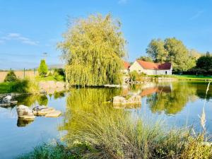 Maisons d'hotes L’etang d’une pause : photos des chambres