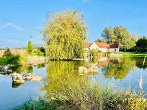 L’étang d’une pause - Cormont