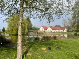 Maisons d'hotes L’etang d’une pause : photos des chambres