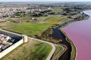 Appartements Appartement dans Mas camarguais : photos des chambres