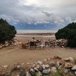 Gjipe camping