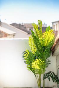 Appartement terrasse Duplex climatisé au cœur de Beziers