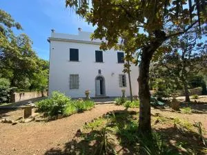 Villa con ampio giardino a due passi dal mare - Magazzini
