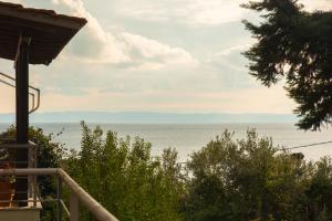 Octopus house 1 min from the beach of Nikiti