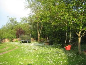 LindenTree-Harmony Apartman