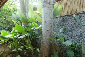 6 BDRMS Villa, Bingin Bali - Lunala