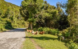 Cozy Apartment In Carcheto Brustico