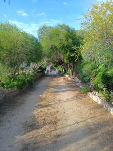 Vacanze a Solanas con Clima CUP1863 img19