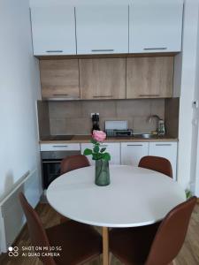 One-Bedroom Apartment room in Apartman Tina Gomax