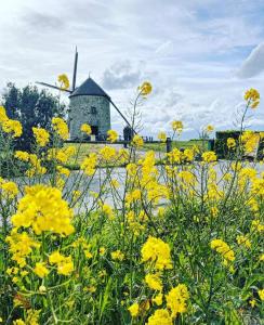 Appartements Gite le Chausey Mont Saint Michel : photos des chambres