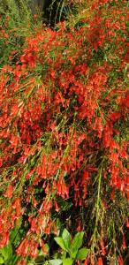 Appartements L'Odyssee provencale, un duplex de charme de 2 chambres au pied du village medieval de Bormes-les-Mimosas, offrant des prestations haut de gamme et une superbe vue sur le Massif des Maures : photos des chambres