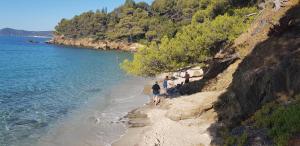 Appartements L'Odyssee provencale, un duplex de charme de 2 chambres au pied du village medieval de Bormes-les-Mimosas, offrant des prestations haut de gamme et une superbe vue sur le Massif des Maures : photos des chambres