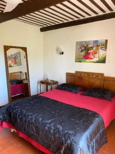 B&B / Chambres d'hotes La Mandarine : photos des chambres