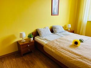 Apartament Słoneczny na Wydmie