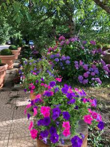 Hotel La Capannina img22