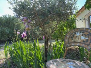 B&B / Chambres d'hotes L'Eveil en Provence : photos des chambres