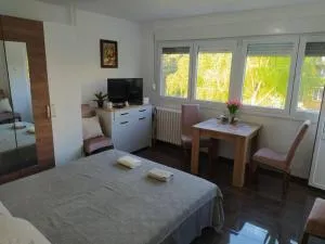 Apartman Stefan - Novi Vladimirovac