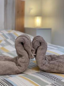 Appartement en résidence privée, face à la mer avec accès direct plage