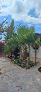 Beautiful Bungalow en VV con wifi,netflix cerca del mar