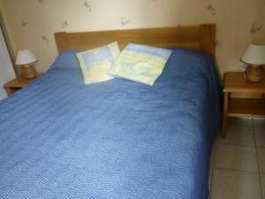Appartements Les Petunias : photos des chambres
