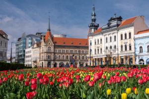 Pretty Luxury Apartaments