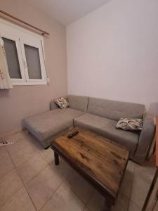 Rivers house Tzoumerka