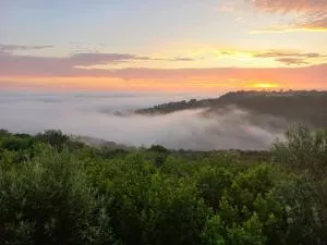 WILDERNESS SEASIDE ESCAPE - Wildernis