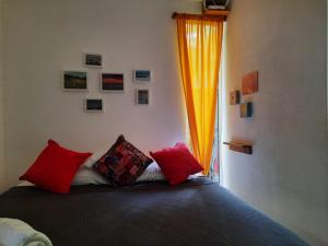 El Habita CASA SHAKO