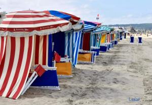 Appartements Studio de charme a Trouville sur mer. : photos des chambres