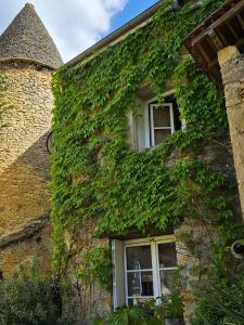 Maisons de vacances Maisonnette au Coeur de la cite Medievale. : photos des chambres